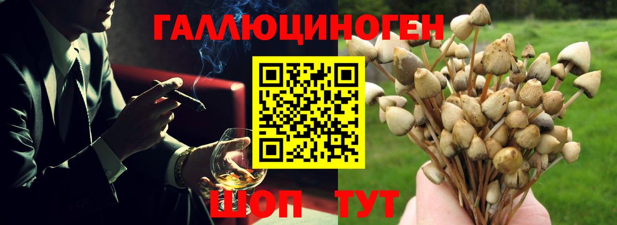 Элиста  Галлюциногенные грибы MAGIC MUSHROOMS  Вход с VPN 